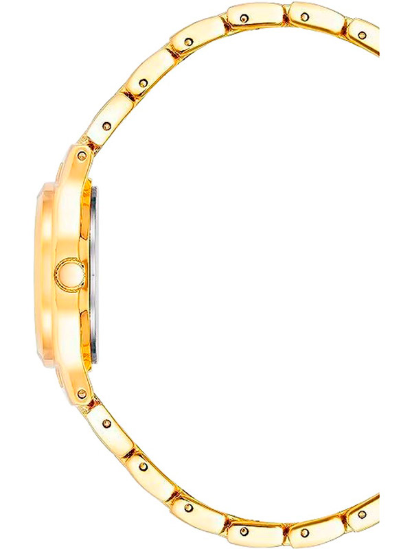 Anne Klein 10/5490MPGB Anne Klein 10/5490MPGB