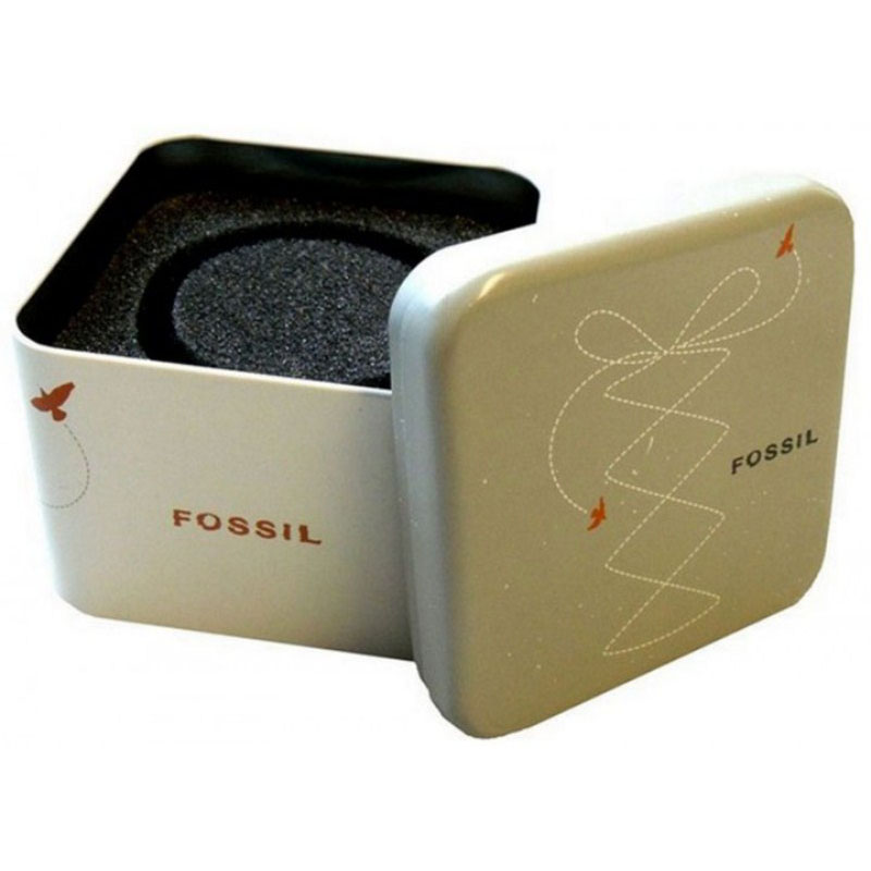 Fossil FS6139 Fossil FS6139